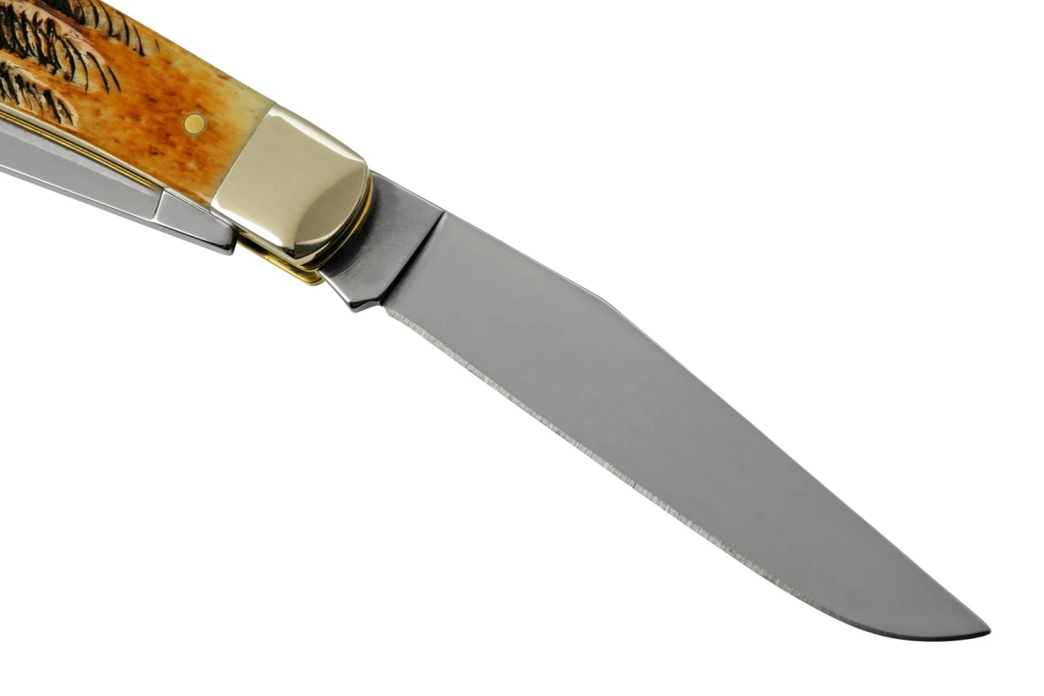 Case Trapper 65329, 6.5 BoneStag, Navaja - Imagen 4