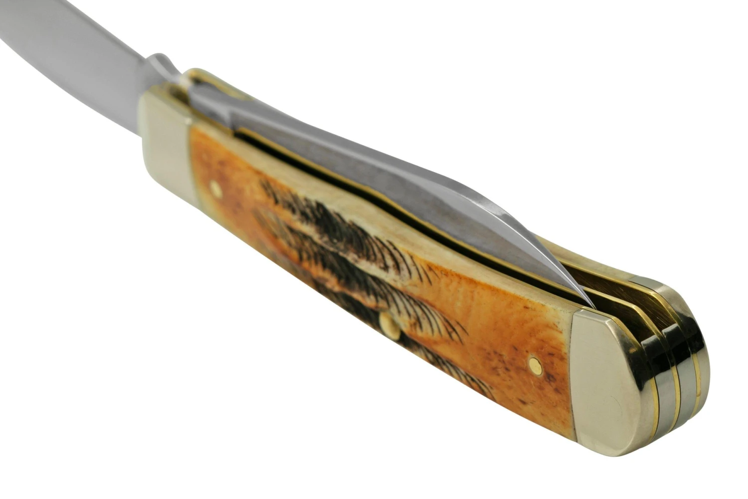 Case Trapper 65329, 6.5 BoneStag, Navaja - Imagen 5